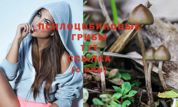 прущая мука Баксан