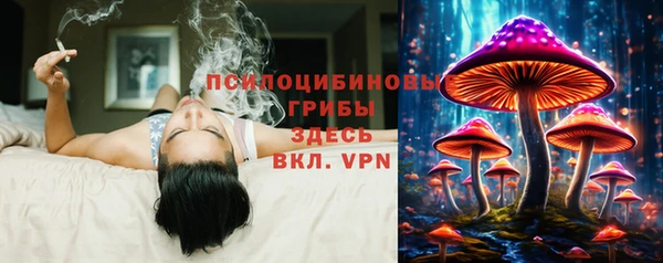 МДПВ Балахна